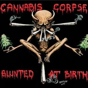 Meet your Posher, Jessie